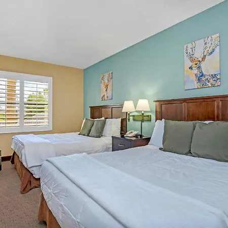 1Br Two Queens Apt-Hotel With Pool, Hot Tub & Arcade, Near Disney & Universal Studios!